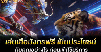 เล่นเสือมังกรฟรี เป็นประโยชน์กับคุณอย่างไร ก่อนเข้าใช้บริการ